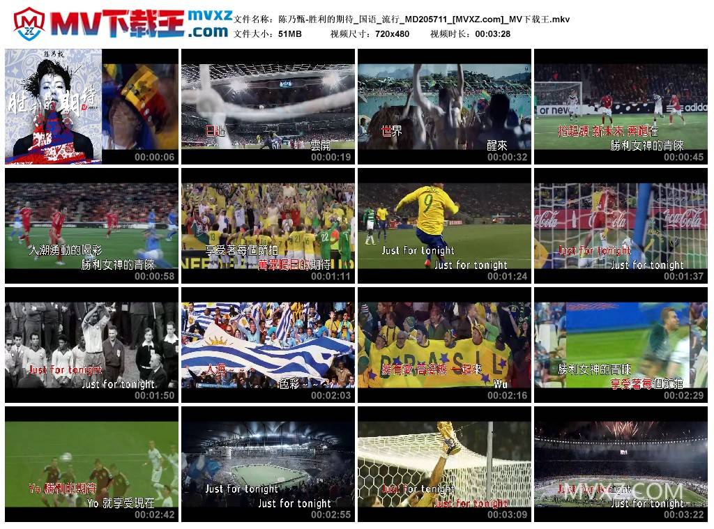 陈乃甄-胜利的期待_国语_流行_MD205711